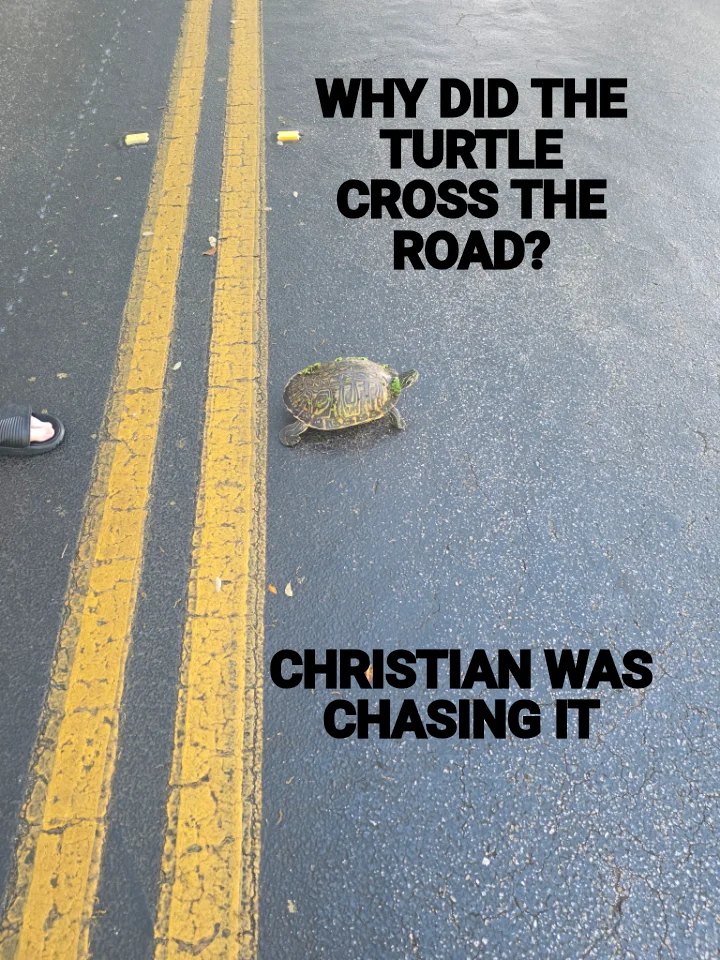 WHY DID THE TURTLE CROSS THE ROAD? — CHRISTIAN WAS CHASING IT