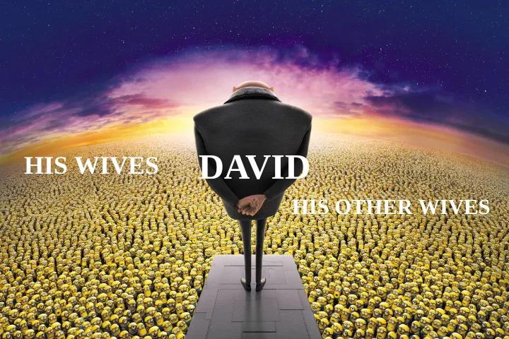 DAVID — HIS WIVES — HIS OTHER WIVES