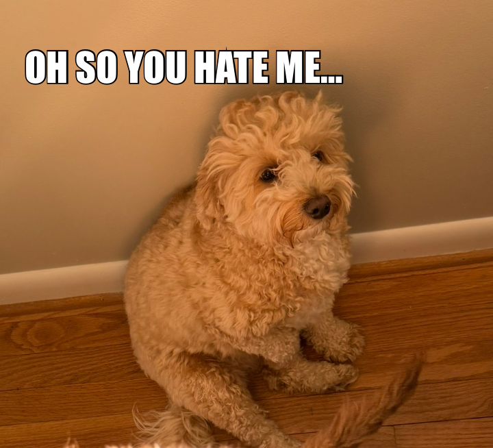 OH SO YOU HATE ME…