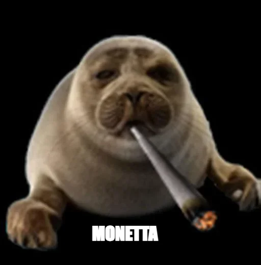 MONETTA