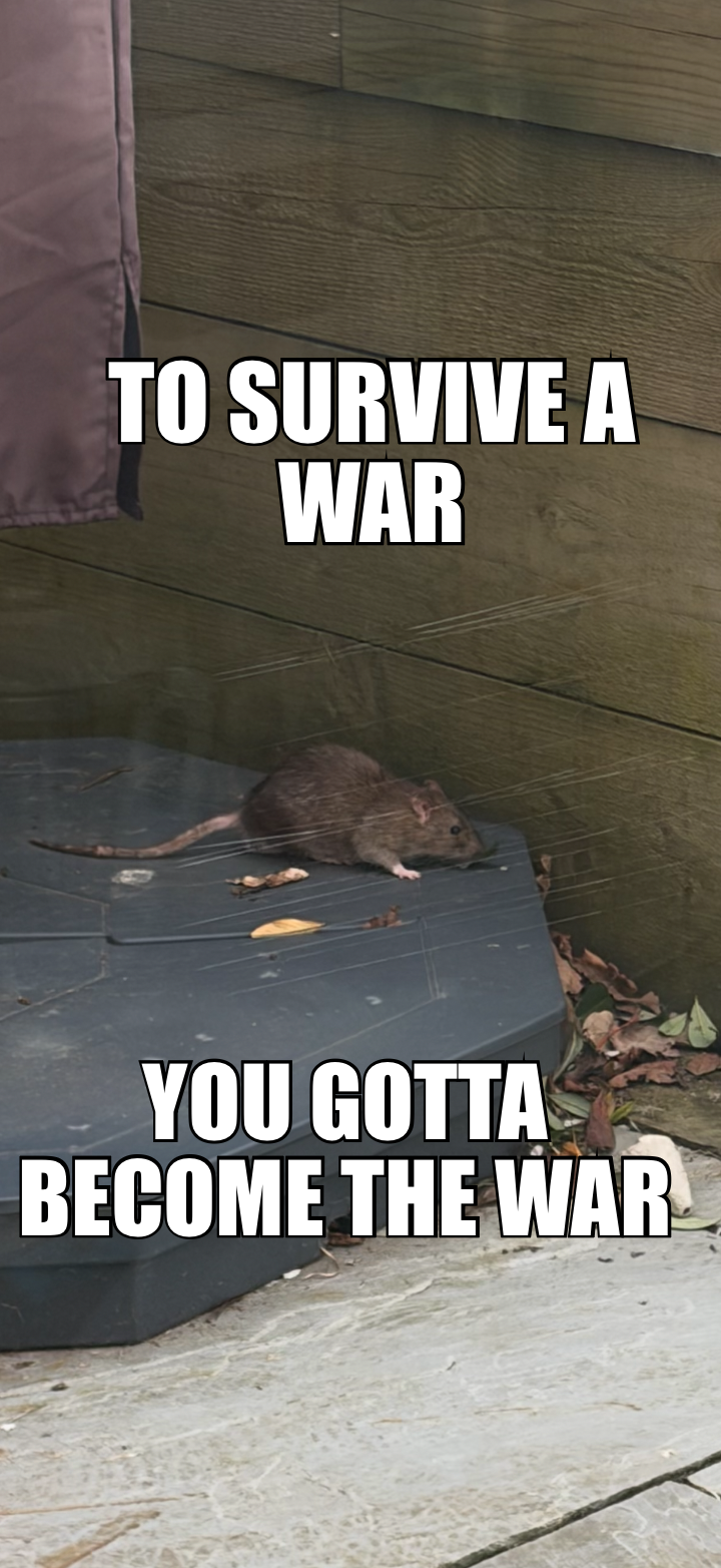 TO SURVIVE A WAR — YOU GOTTA BECOME THE WAR