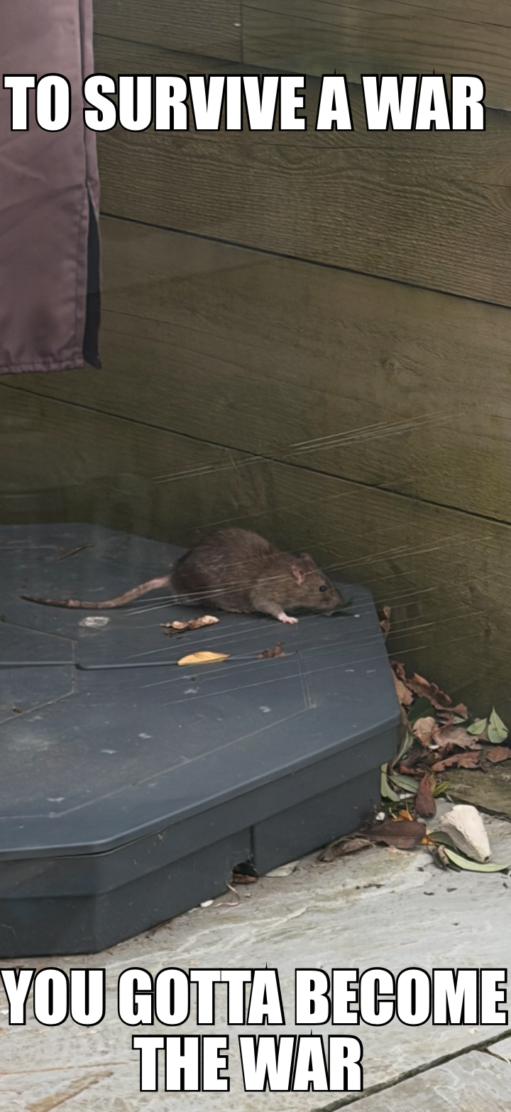 YOU GOTTA BECOME THE WAR  — TO SURVIVE A WAR