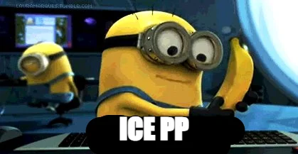 ICE PP