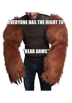 EVERYONE HAS THE RIGHT TO — "BEAR ARMS"