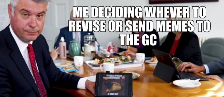 ME DECIDING WHEVER TO REVISE OR SEND MEMES TO THE GC