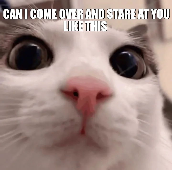 CAN I COME OVER AND STARE AT YOU LIKE THIS