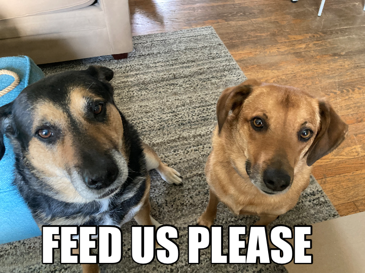 FEED US PLEASE