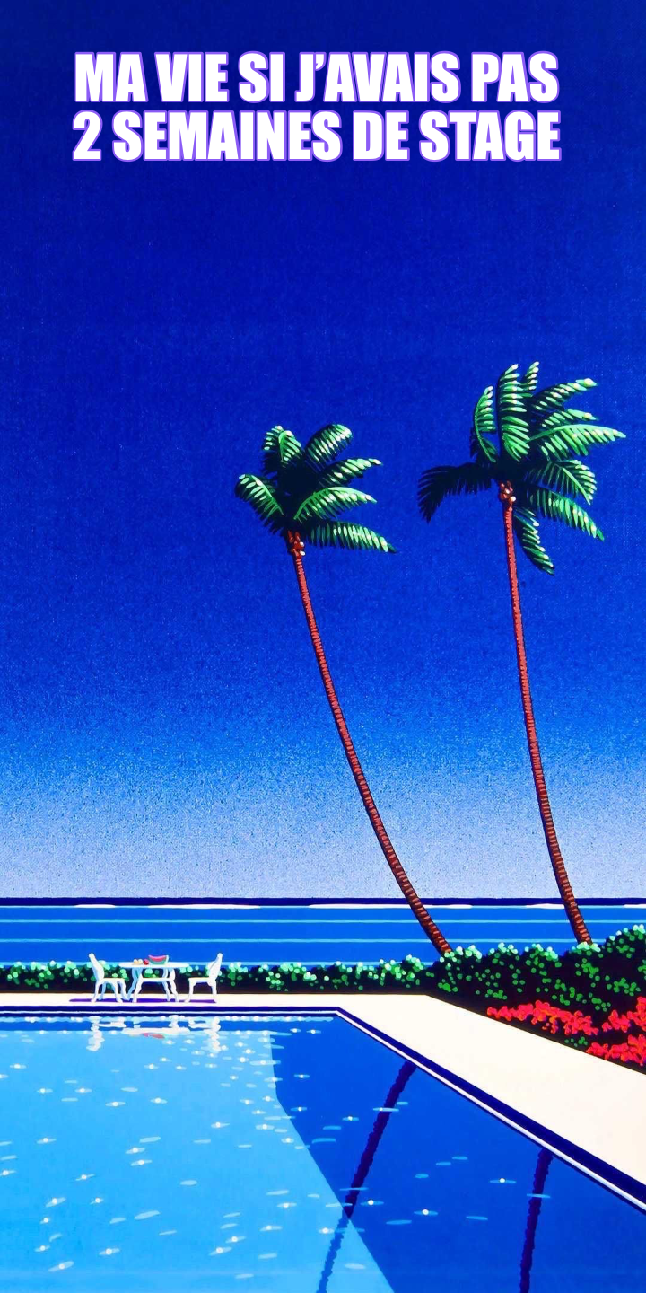 MA VIE SI J’AVAIS PAS
2 SEMAINES DE STAGE