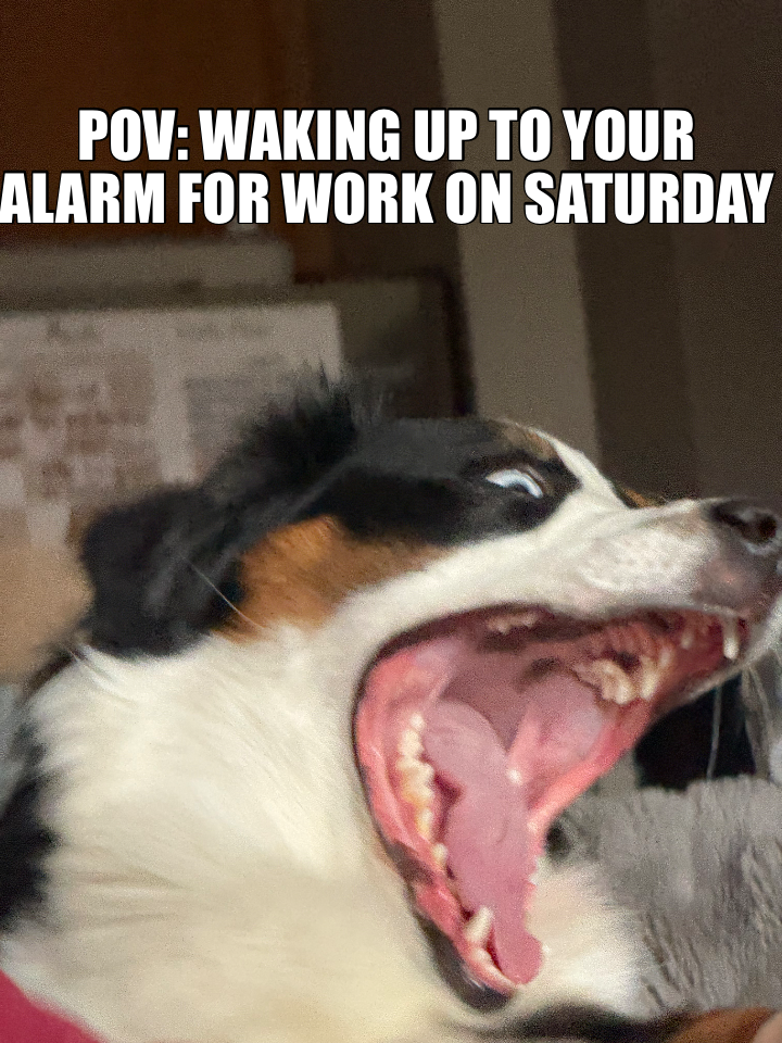 POV: WAKING UP TO YOUR ALARM FOR WORK ON SATURDAY