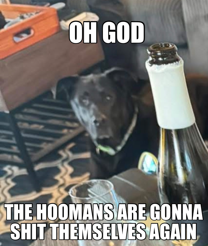 THE HOOMANS ARE GONNA SHIT THEMSELVES AGAIN — OH GOD