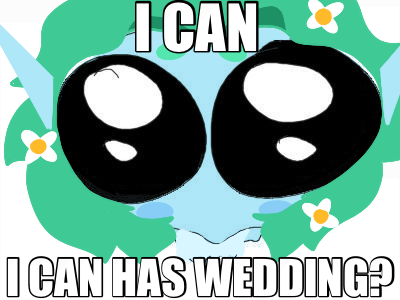 I CAN — I CAN HAS WEDDING?
