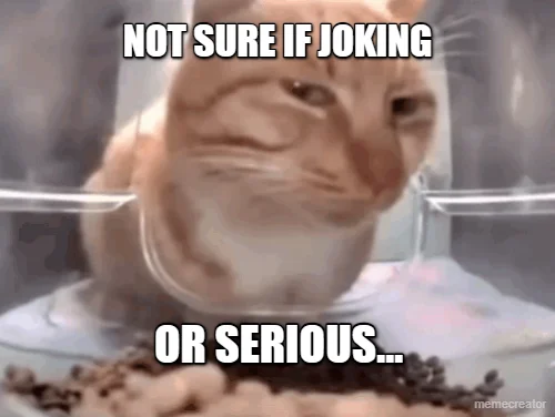 custom-upload-not-sure-if-joking-or-serious-1783352564047.webp