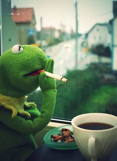 Kermit smoking