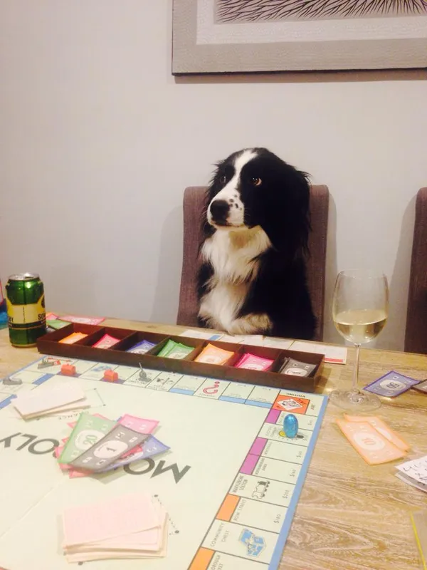 Monopoly Dog