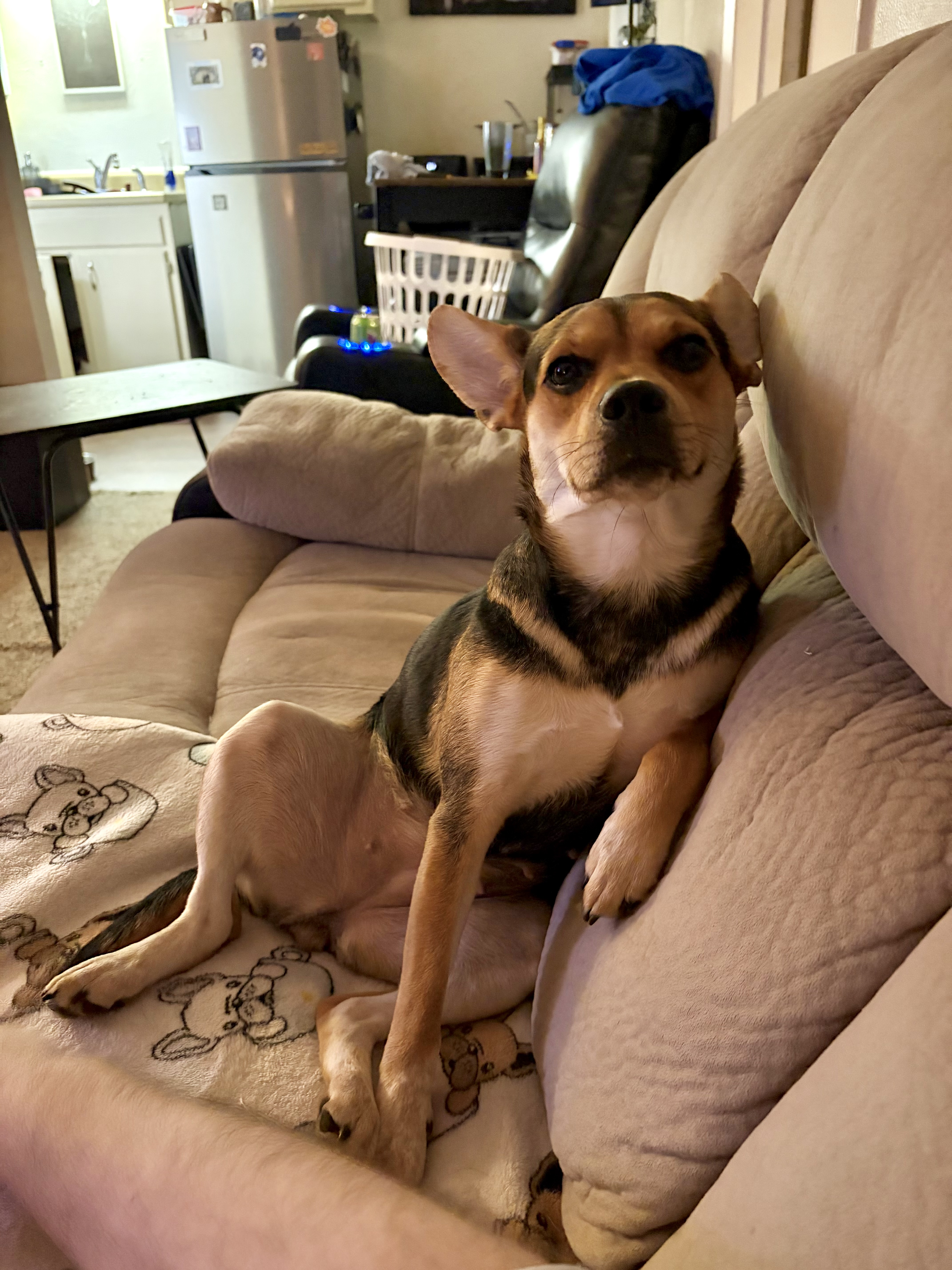 EVERY STEP YOU TAKE, EVERY MOVE YOU MAKE — BETTER NOT BE TO THE BATHROOM WITHOUT ME