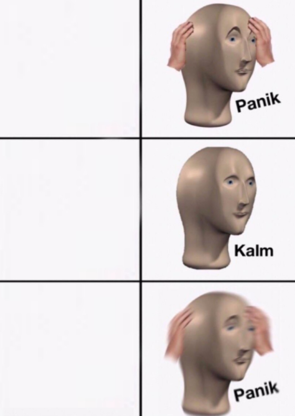 IMG_1551 meme