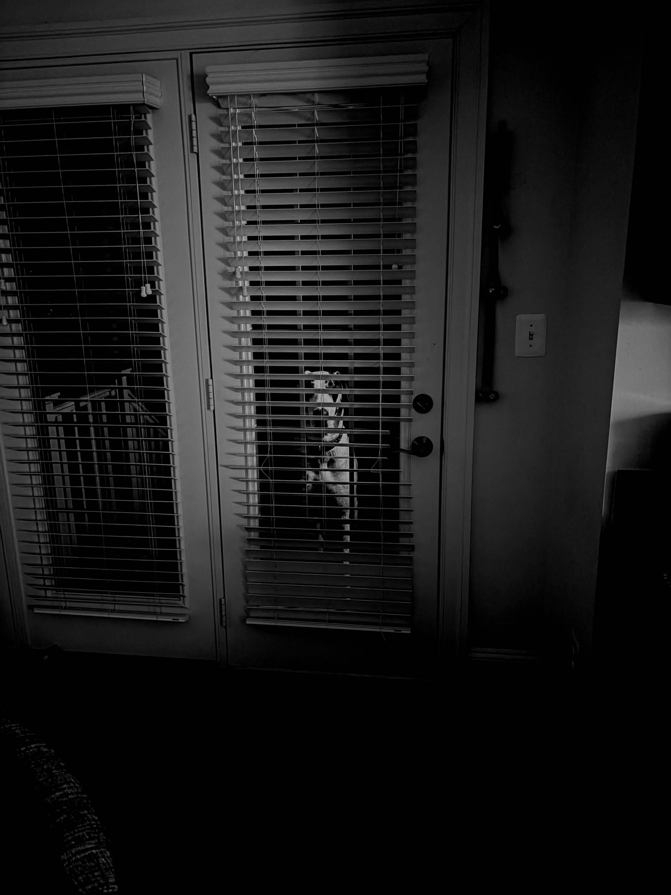 DO YOU FEEL SAFE IN YOUR HOUSE RN — YOU SHOUDNT