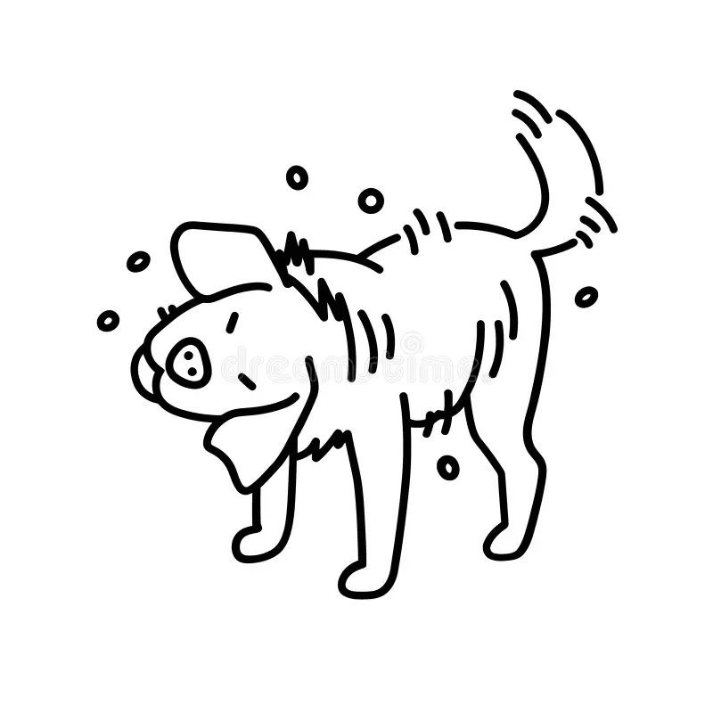 DOES ANYONE ELSE JUST… — AFTER GETTING OUT OF WATER? — NO…? JUST ME…? — COOL, COOL…