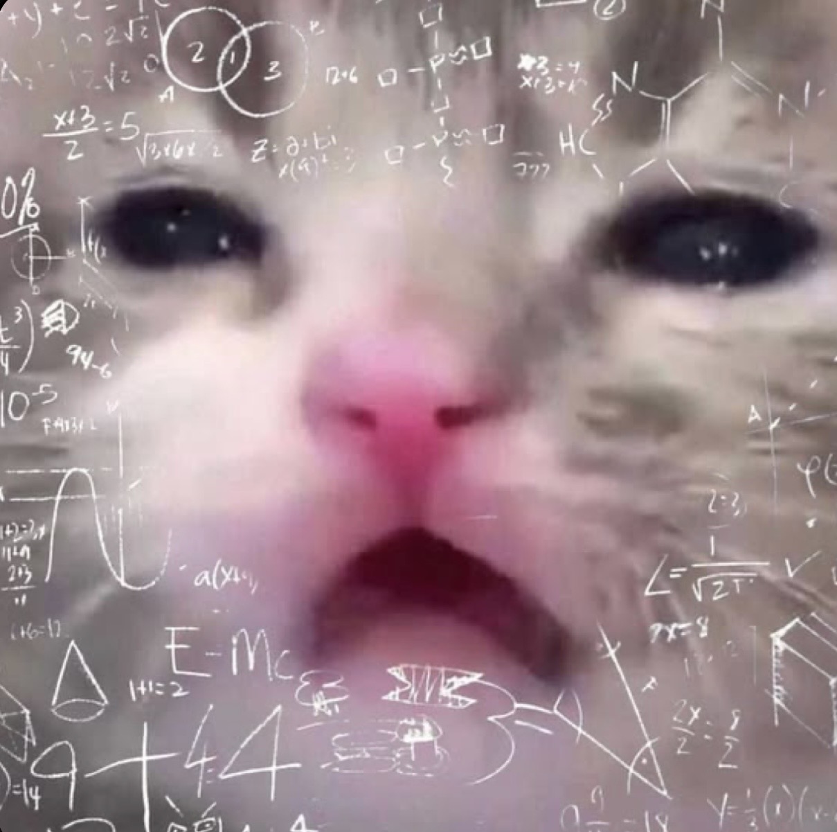 TRYING TO DO INFERENTIAL STATISTICS - (OR STANDARD DEVIATION)