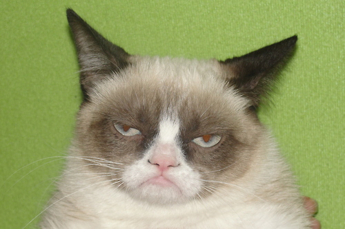 BEING A SHORTBUSSIAN - MY FACE WHEN HATING MYSELF