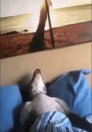 YO DORMIDA EN MEDIO DE LAS BANCAS A LAS 12 AM EN LAS FIESTAS DE MEXICO - *MÚSICA A TODO VOLUMEN*