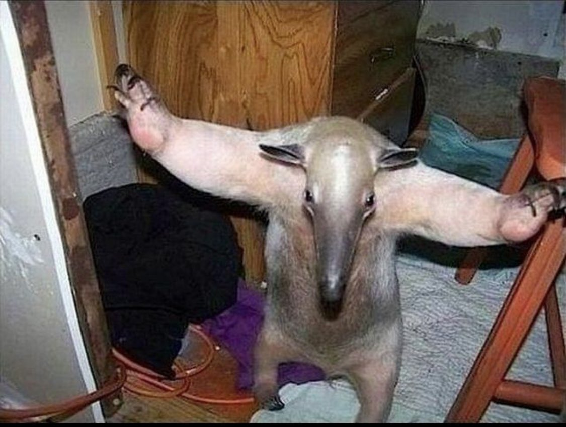 CAN EVERYONE CALM DOWN - I GOT THIS