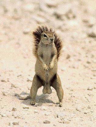 LADY, YOU’RE NUTS - AND TRUST ME, I KNOW NUTS