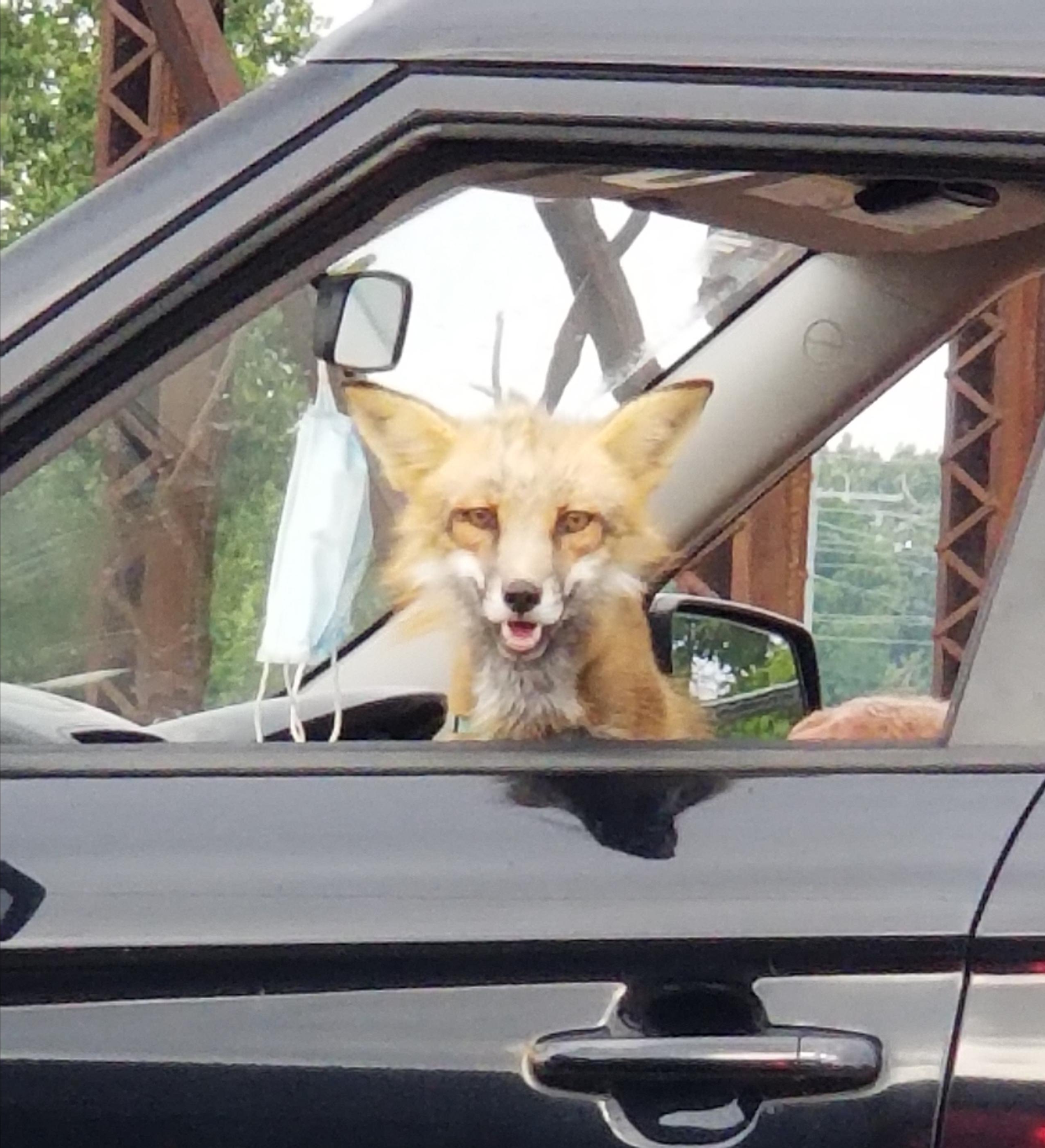 GET IN, LOSER - WE'RE GOING TO AH AH AH AH AH AH AH AH AH AH AH AH AH AH AH AH AH