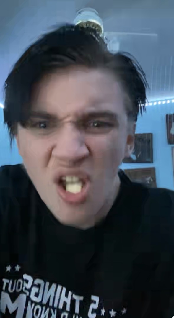 ME WHEN IM GERMANYS LEADER