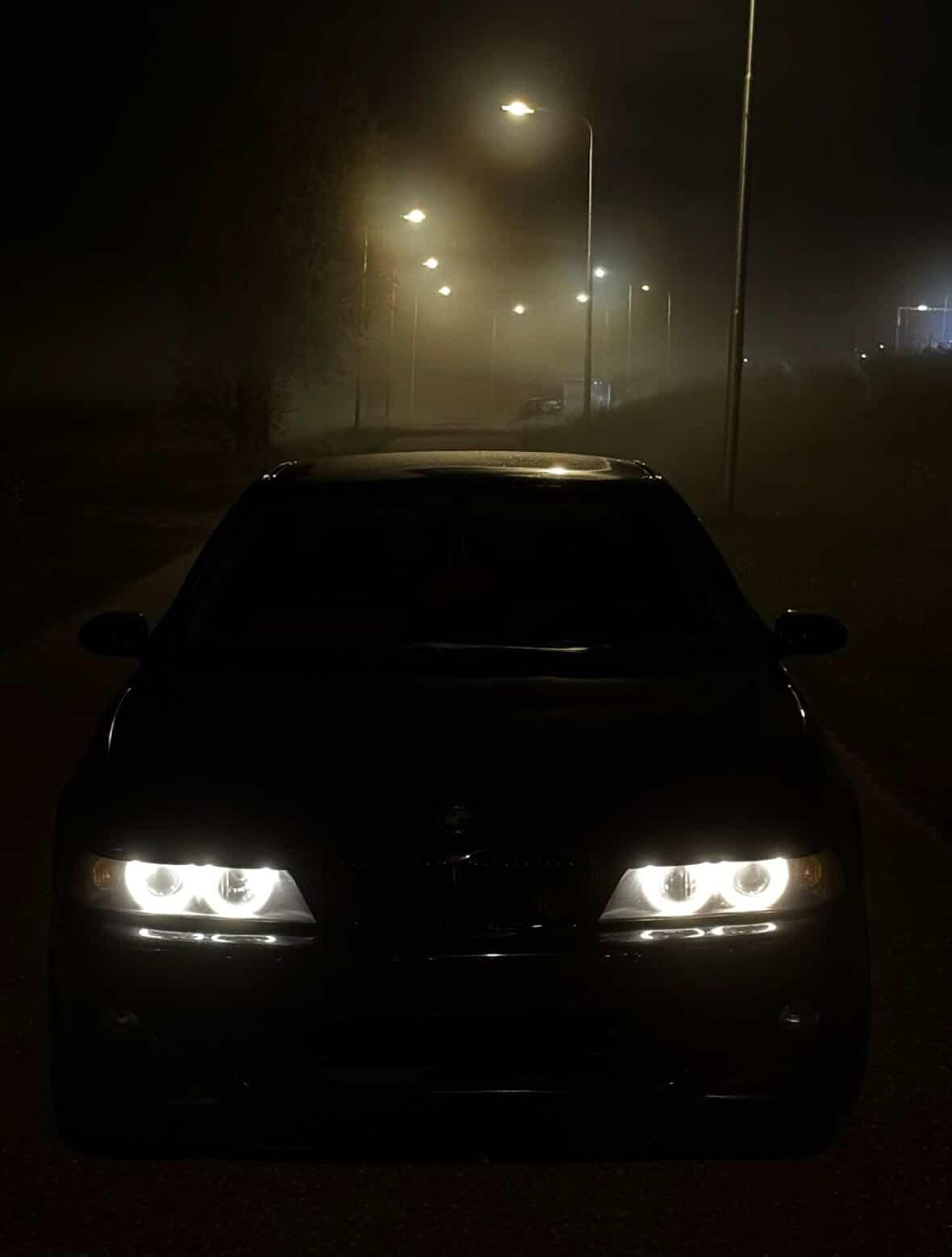 MY CAR - BITES
