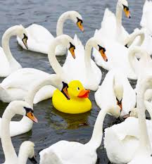OUTLIERS - EVERYWHERE YOU GO IT WILL BE SEEN