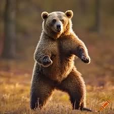 BEAR ARMS DOESN'T MEAN TEACH
BEARS TO FIGHT WITH THEIR ARMS