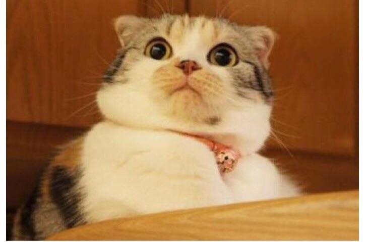 GATLIN DURING 7TH PERIOD