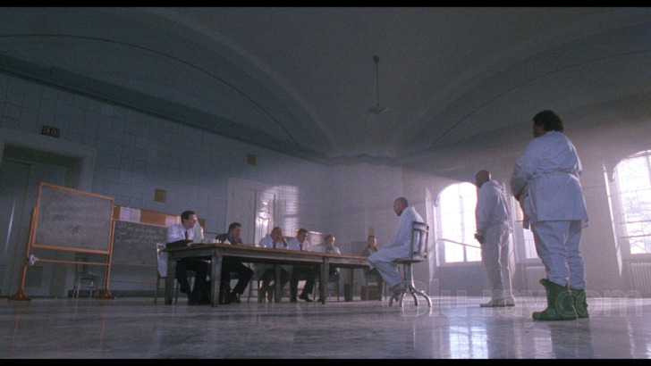 What year twelve monkeys