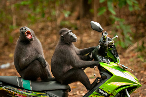 CUANDO MI INSTRUCTOR DE VUELO DE REPENTE AGARRA LAS CONTROLES