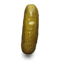 CUCUMBERS AFTER ONE SPA DAY: - PICKLE