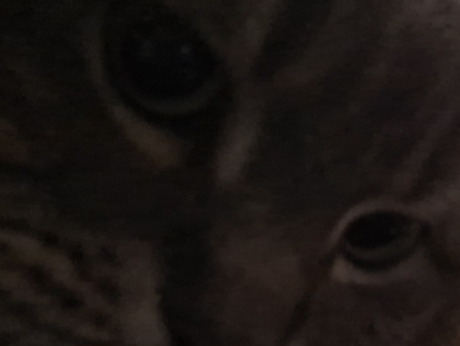 IS THAT MILK?