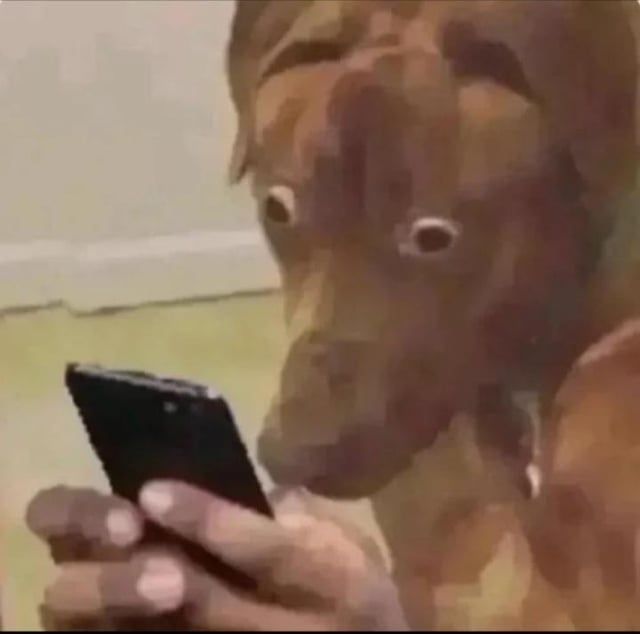 ME LOGGING INTO MY ONLINE CLASS - PRETENDING I REMEMBERED THE DUE DATE