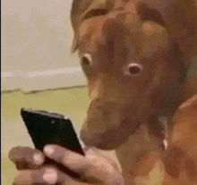 WHEN YOUR MOM LOOKS AT - YOUR SEARCH HISTORY