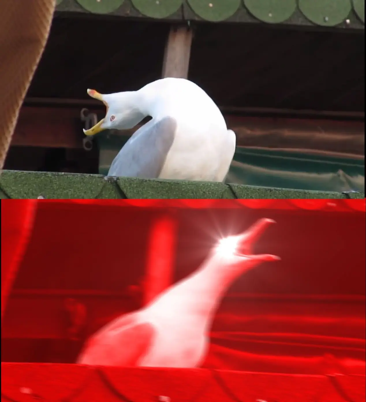 THEY HAVE BEEN DROPPING STUFF - ALL DAY!!!!!!!!!!!!!!!!!!!!!