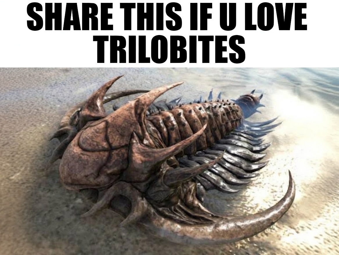 image-287 meme