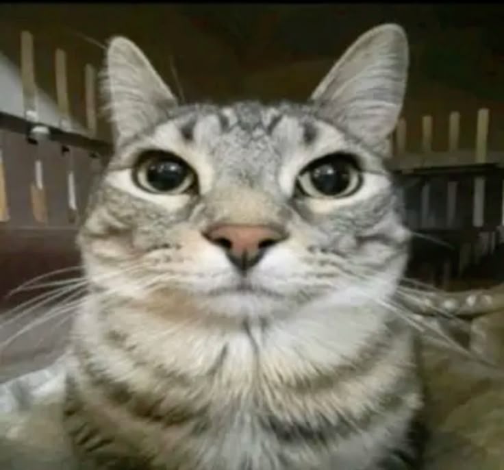HOW I LOOK AT MY COMPUTER AFTER I GET BANNED ON ROBLOX