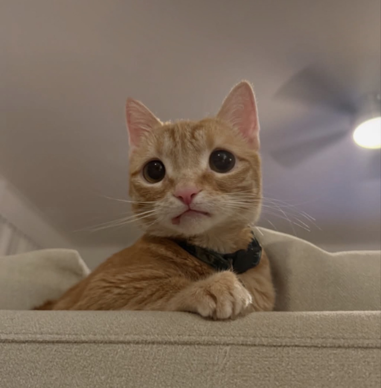 THE PERSON YOU’RE YELLING AT RN