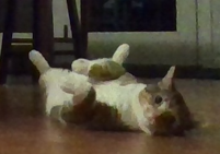 WHEN YOU DO SOMETHING BAD- - I AM WATCHING YOU