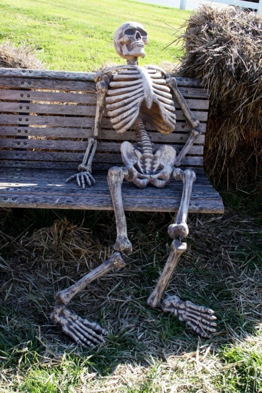 - WAITING FOR AMAYAH