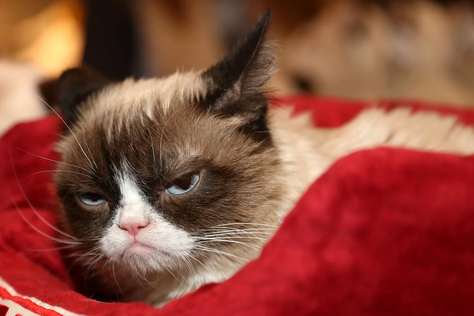 WHEN ALTY LEAVES US FOR DISNEY: - HOW DARE YOU..