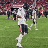VICTORY MOOD