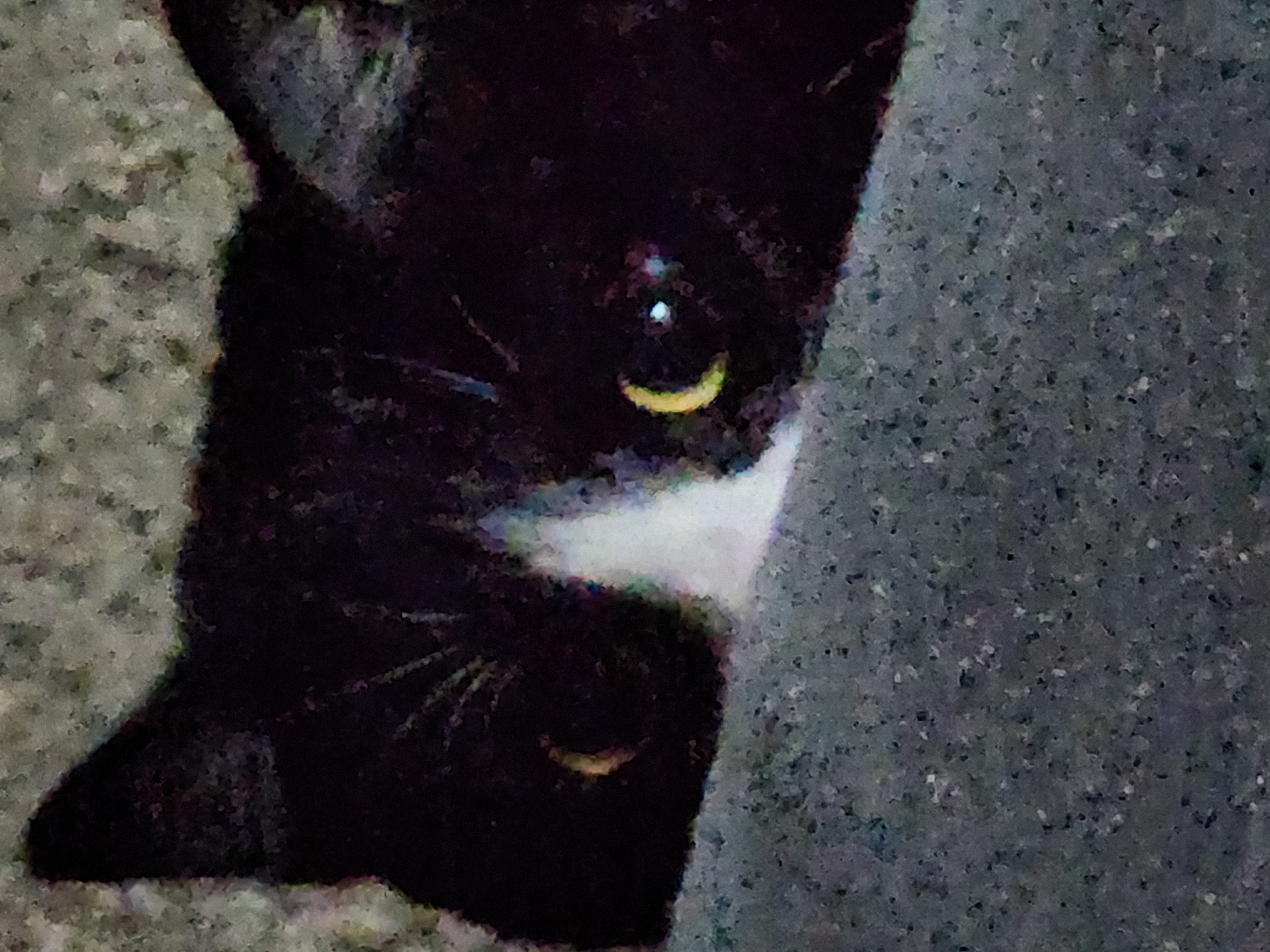 ME WHEN I PEEK A CORNER -