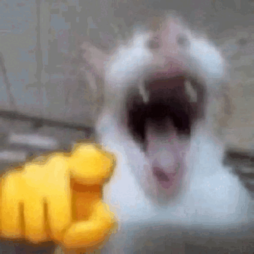 vuknok meme