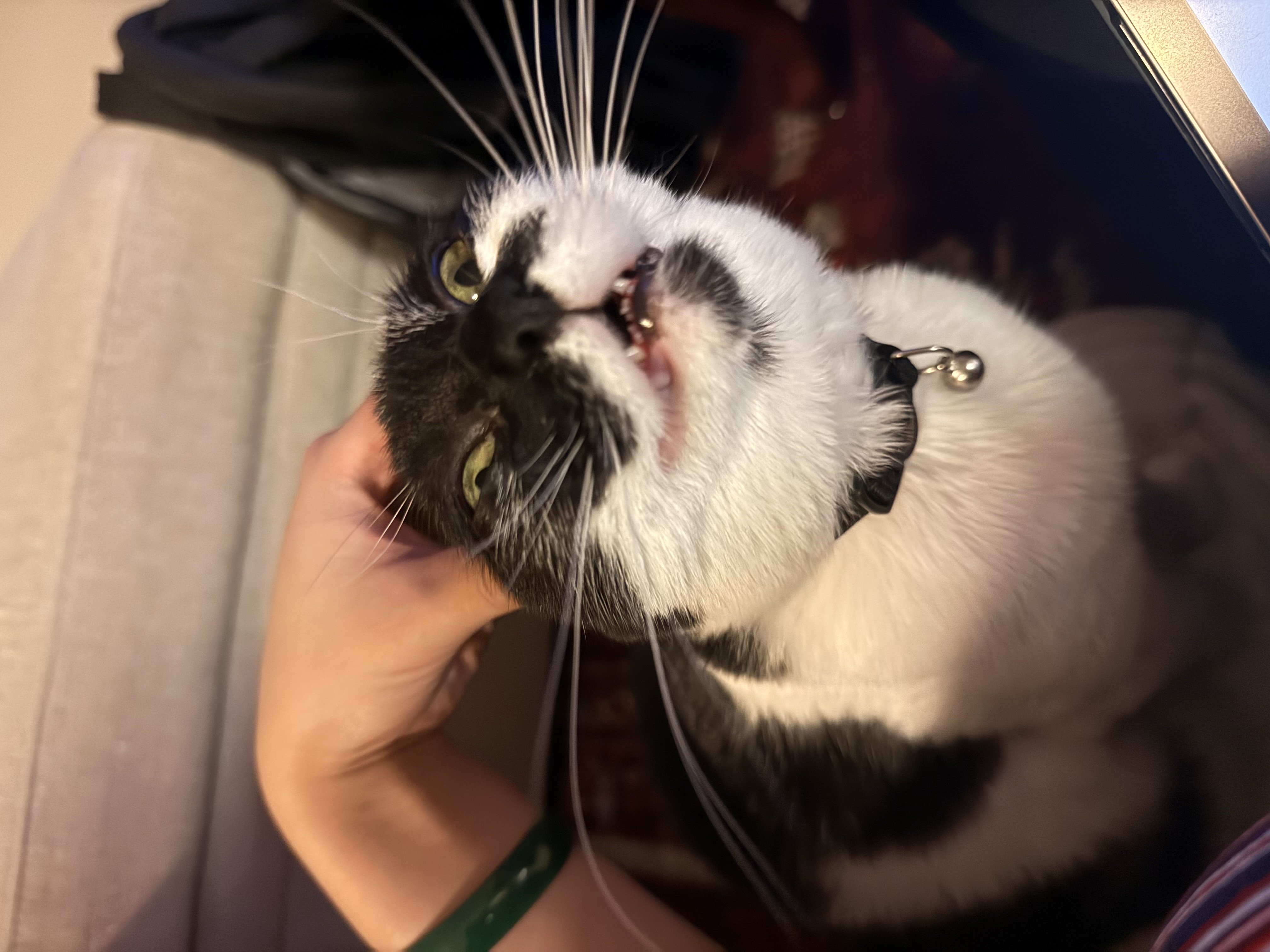 KID NAMED PUBERT